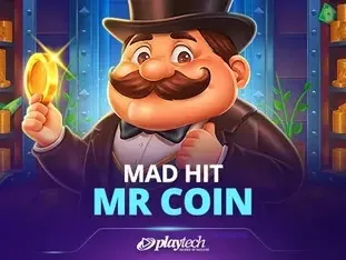 Mad Hit Mr Coin game icon